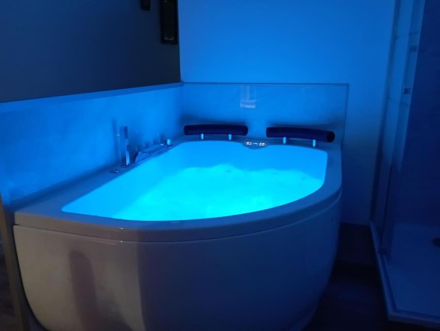 Sejour Sauna Et Jacuzzi Cocon La Roche-sur-Yon Kültér fotó