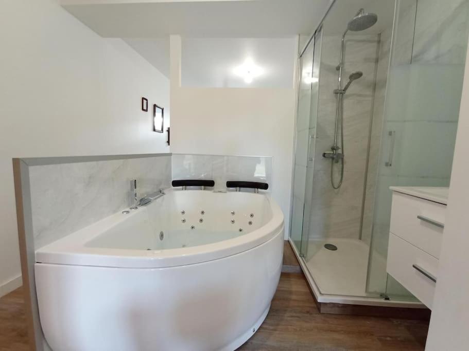 Sejour Sauna Et Jacuzzi Cocon La Roche-sur-Yon Kültér fotó